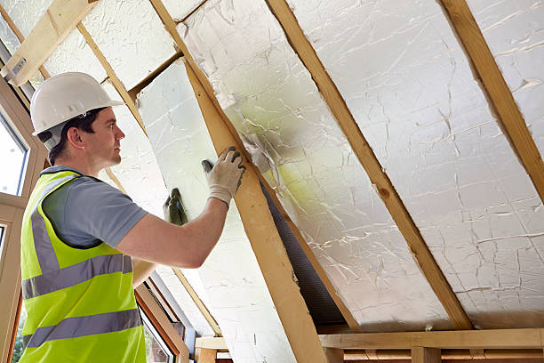 Best Insulation Repair Services  in Tiptonville, TN